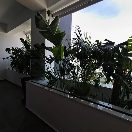 Carisa Deluxe With Jacuzzi *